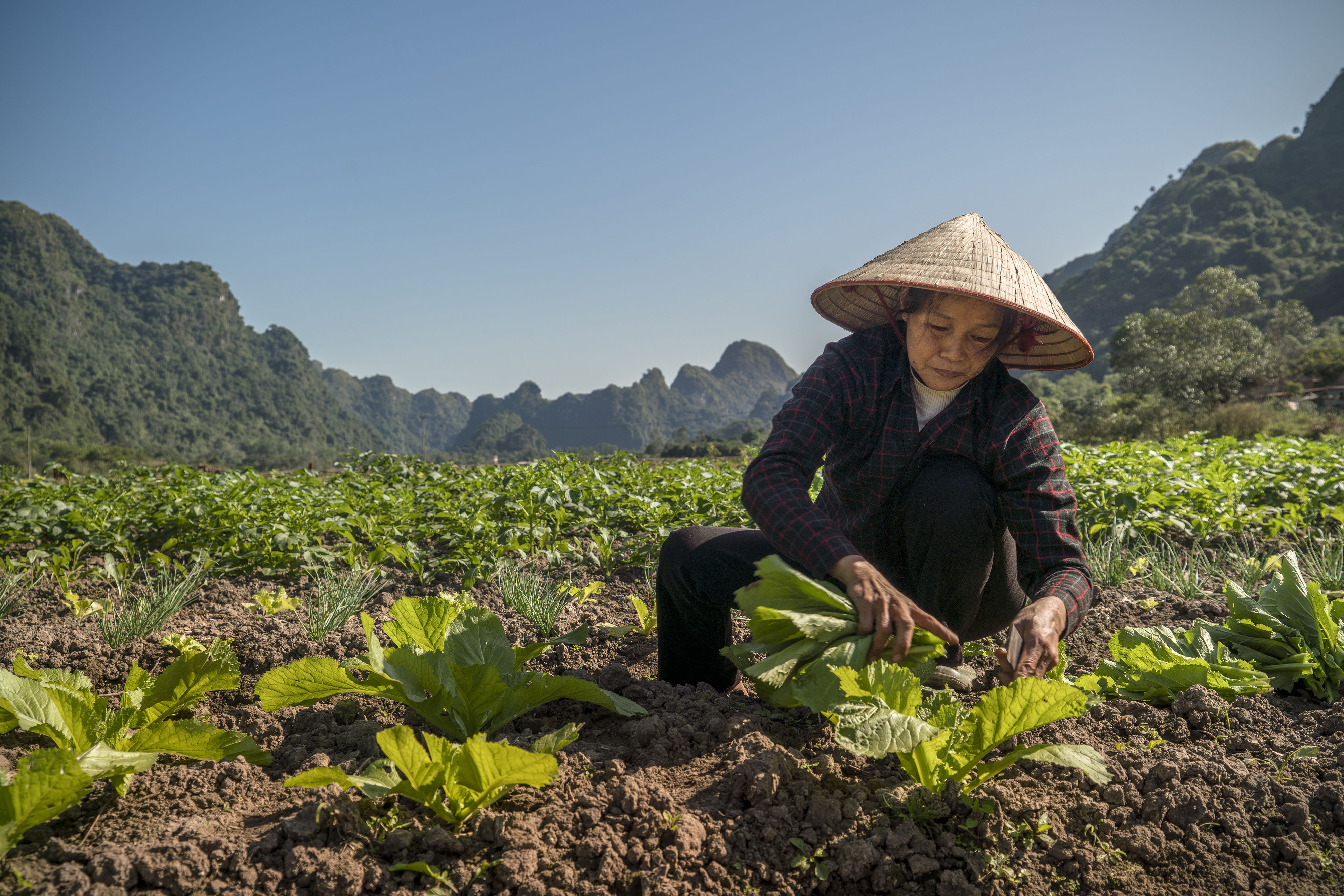 Vietnam - People and Places